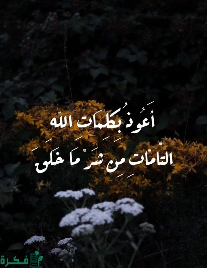 دعاء أعوذ بكلمات الله التامات من شر ما خلق كامل 1 دعاء أعوذ بكلمات الله التامات من شر ما خلق