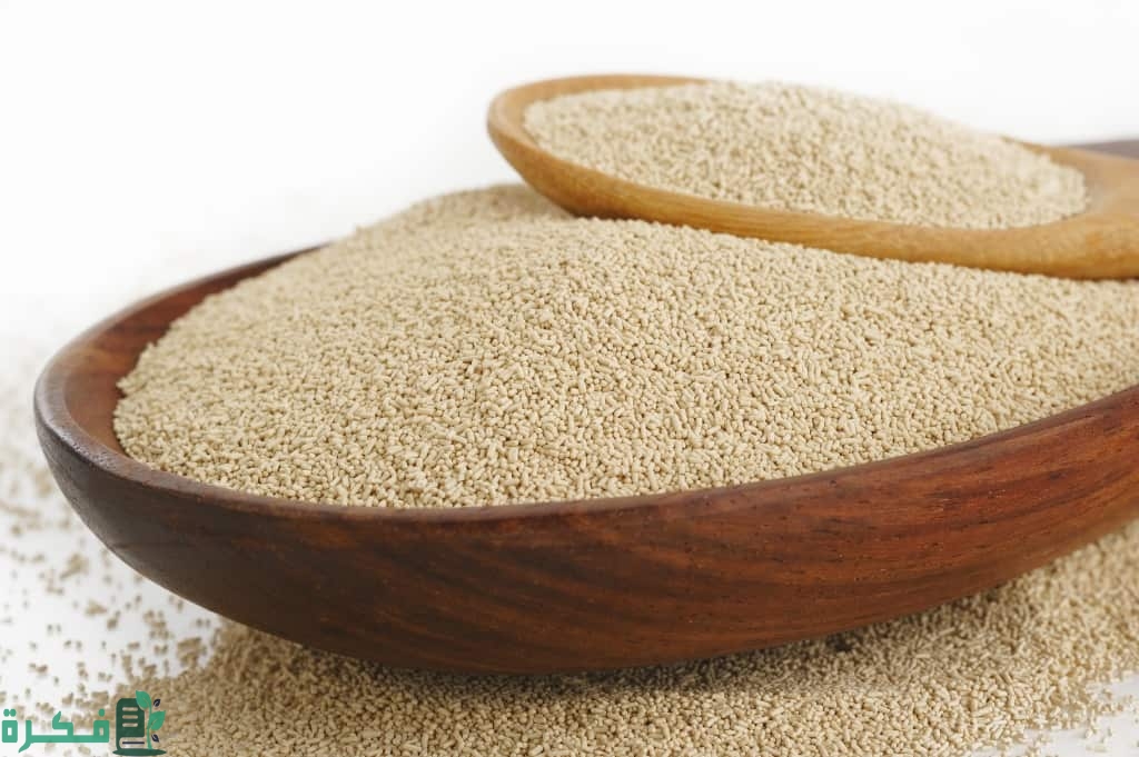 شرح خطوات استخدام خميرة البيرة لتكبير المؤخرة 1 Use beer yeast in breast growth