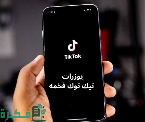 120+ يوزرات تيك توك 2025 اجمل يوزر ثلاثي ورباعي للتيك توك 1 images 2023 02 02T071608.403