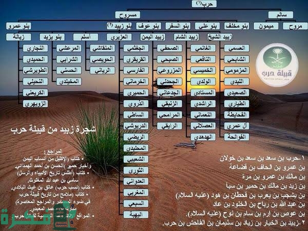أفخاذ قبيلة حرب 1 images 2023 02 26T203312.040