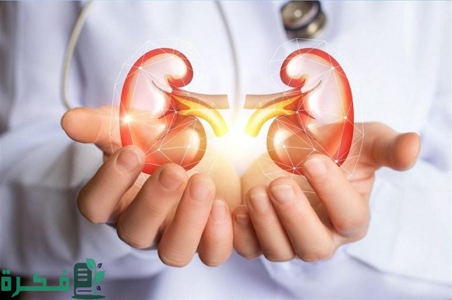 أسماء احسن 5 مشروبات لعلاج أملاح الكلى 1 أفضل 5 مشروبات لعلاج أملاح الكلى