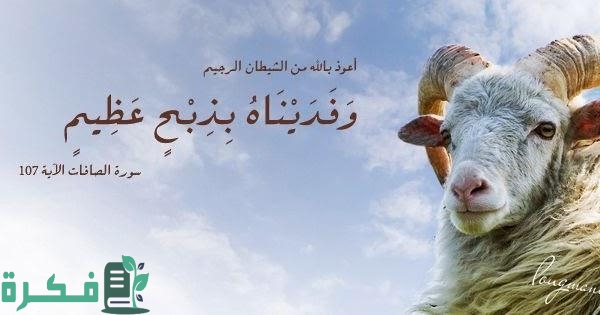 في أي سورة وردت قصة ذبح إسماعيل 1 في أي سورة وردت قصة ذبح إسماعيل