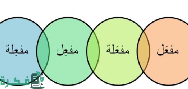 ما هو مصدر الفعل في اللغة العربية 1 ما هو مصدر الفعل