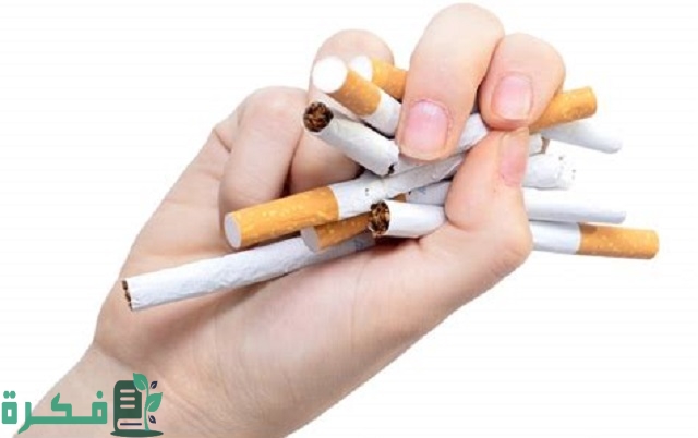 خبر صحفي قصير عن التدخين 1 خبر صحفي قصير عن التدخين