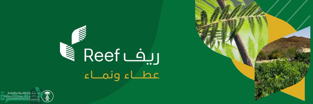 شرح خطوات التسجيل في برنامج ريف للدعم المادي للعاطلين 1 التسجيل في برنامج ريف للدعم المادي للعاطلين