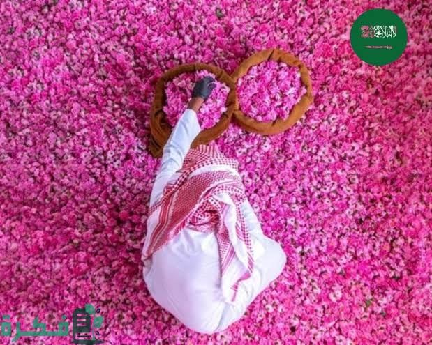 أسماء الورد في السعودية وألوانها 1 images 2023 03 19T073953.736