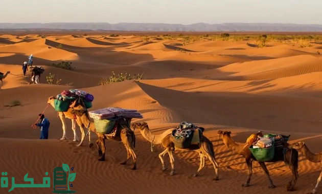السواط وش يرجع : ما هو اصل عائلة السواط 1 السواط وش يرجع هل تنتمي إلى قبيلة عتيبة