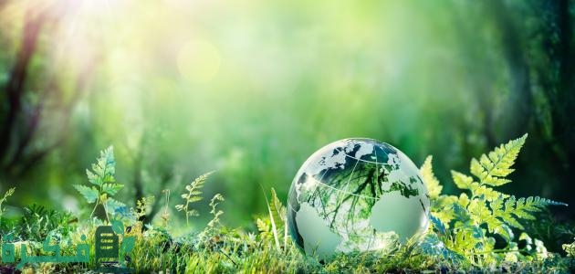 بحث عن أهمية التنوع البيولوجي 1 بحث عن أهمية التنوع البيولوجي