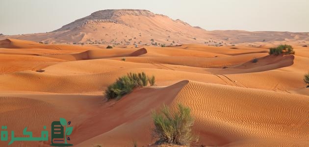 بحث عن تضاريس شبه الجزيرة العربية بالعناصر 1 بحث عن تضاريس شبه الجزيرة العربية