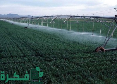 جدول ري القمح بالرش واحسن مواعيد ري القمح 1 جدول ري القمح بالرش