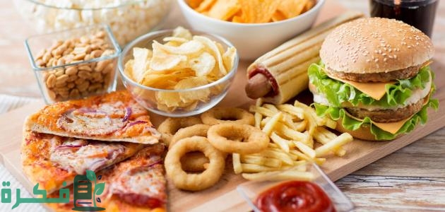 موضوع تعبير عن الوجبات السريعة 1 موضوع تعبير عن الوجبات السريعة