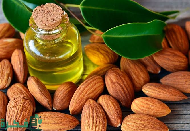 7 فوائد زيت اللوز الحلو للمنطقة الحساسة تعرفي عليها 1 فوائد زيت اللوز الحلو للمنطقة الحساسة
