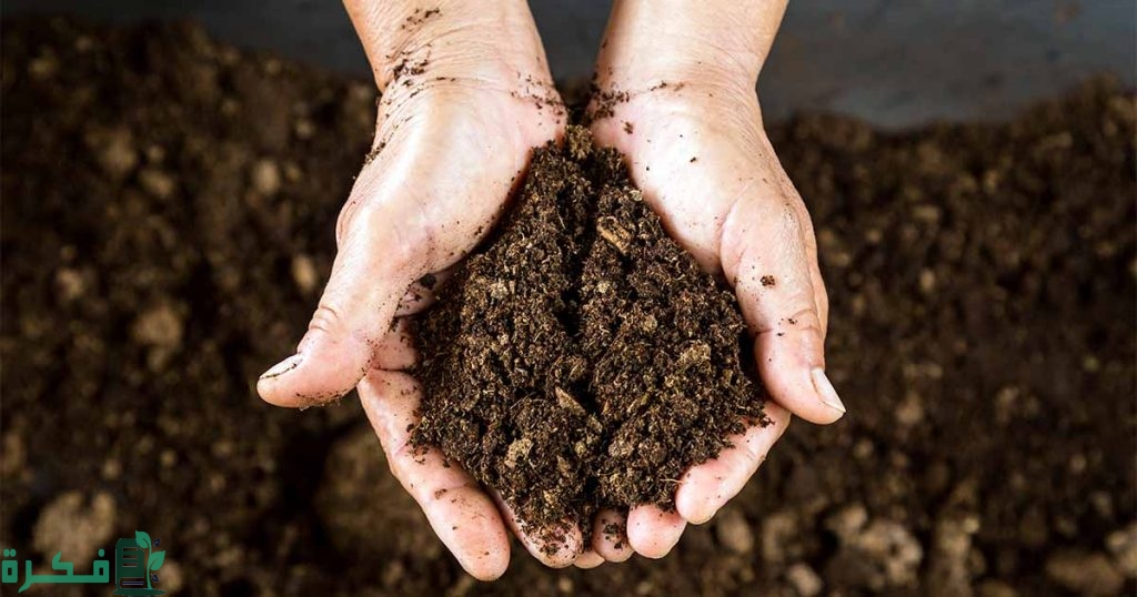 ما هي التربة الصالحة للزراعة ; 6 طرق لتحديد نوع التربة 1 ما هي التربة الصالحة للزراعة