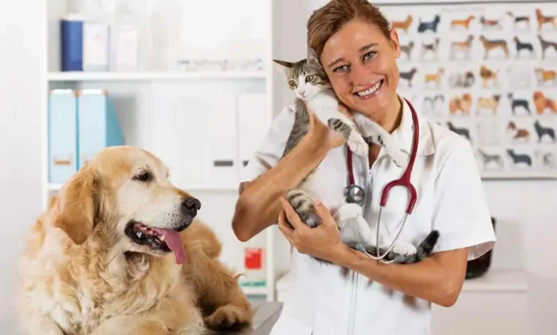 ما هي مجالات وتخصصات الطب البيطري 1 مجالات وتخصصات الطب البيطري