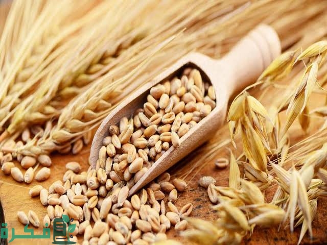 تفسير رؤية الأرز الشعير; دلالات الحلم في المنام 1 images 2023 05 25T173938.214