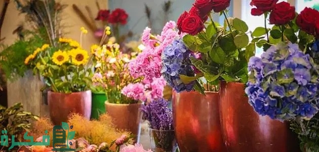 أسماء محلات ورد في تركيا.. 50+ أسم جميل بالتركي 1 أسماء محلات ورد في تركيا