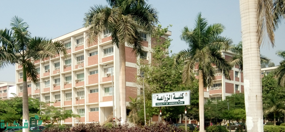 احسن أقسام كلية الزراعة والتخصصات 1 أفضل أقسام كلية الزراعة والتخصصات