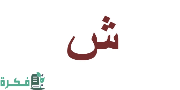اسم أكلة بحرف الشين; أشهر 8 أكلات بحرف ش 1 اسم أكلة بحرف الشين