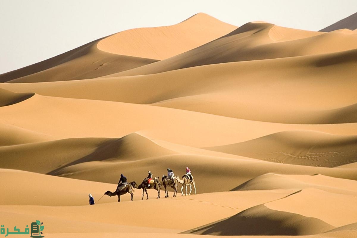 الجبري وش يرجع; أصل عائلة الجبري من وين 1 الجبري وش يرجع