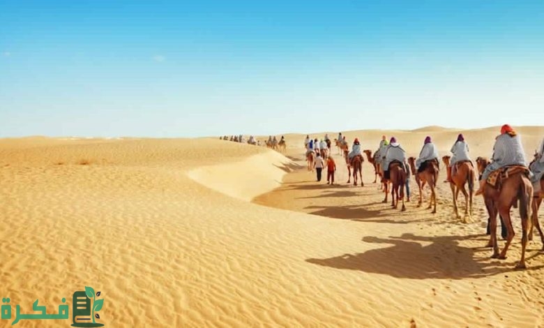 العويس وش يرجعون.. شجرة عائلة العويس 1 العويس وش يرجعون