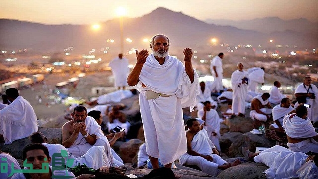 حملات الحج البالتفصيلة لغير السعوديين 1446 1 حملات الحج المجانية لغير السعوديين