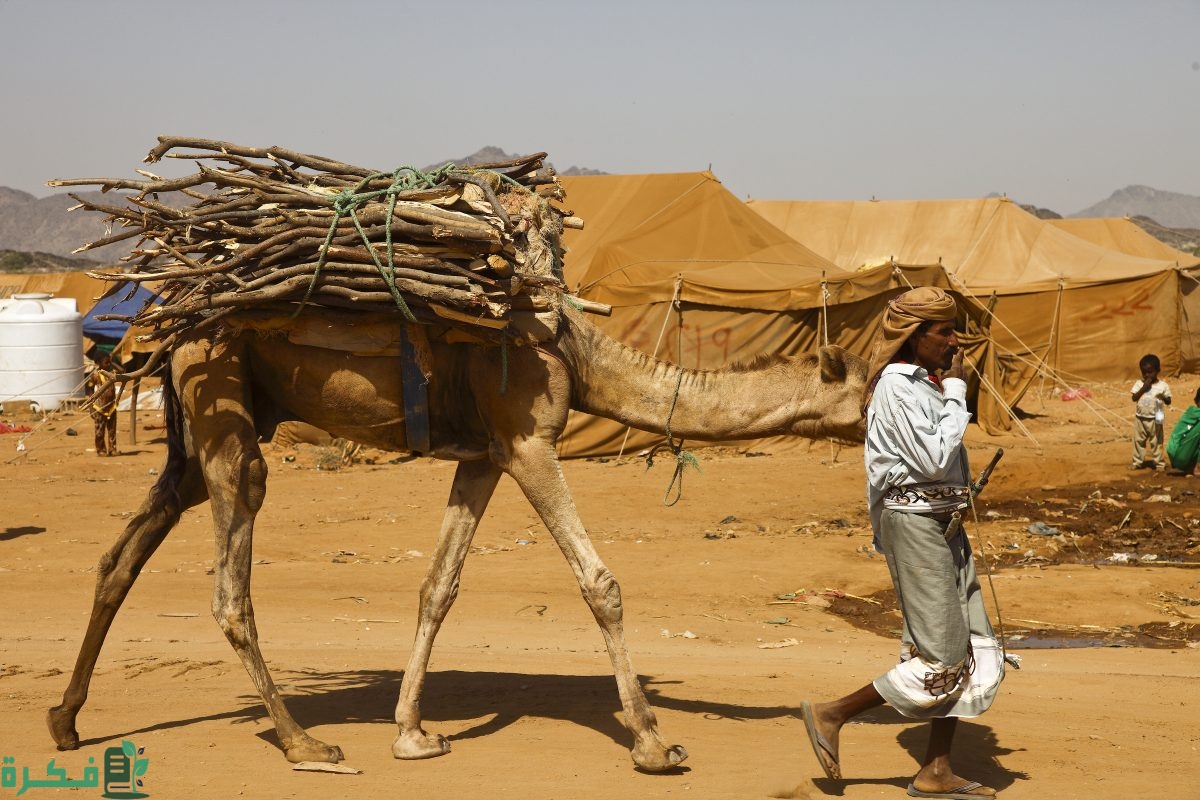 قبيلة الطهيمي وش يرجعون; أصل قبيلة الطهيمي 1 قبيلة الطهيمي وش يرجعون