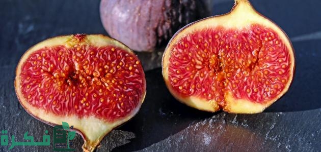 كم عدد الفواكه التي ذكرت في القرآن الكريم 1 كم عدد الفواكه التي ذكرت في القرآن الكريم