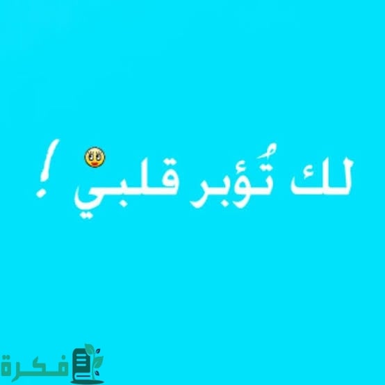 ما هو الرد على كلمة تؤبرني 1 images 2023 06 22T004941.750