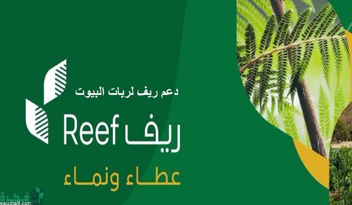 كم دعم ريف لربات البيوت 1 كم دعم ريف لربات البيوت