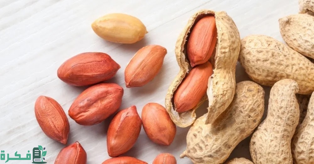 كم نسبة البروتين في الفول السوداني 1 كم نسبة البروتين في الفول السوداني