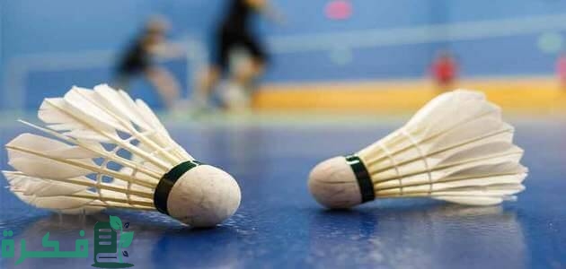 مواصفات ملعب الريشة الطائرة 1 مواصفات ملعب الريشة الطائرة