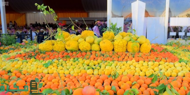 موعد مهرجان الحمضيات الحريق 2025 1 موعد مهرجان الحمضيات الحريق