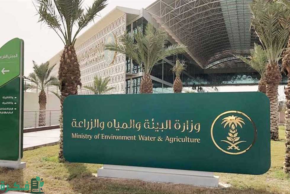 شرح خطوات التقديم على طلب إذن استيراد خضار وفواكة 1446 1 خطوات التقديم على طلب إذن استيراد خضار وفواكه 1445