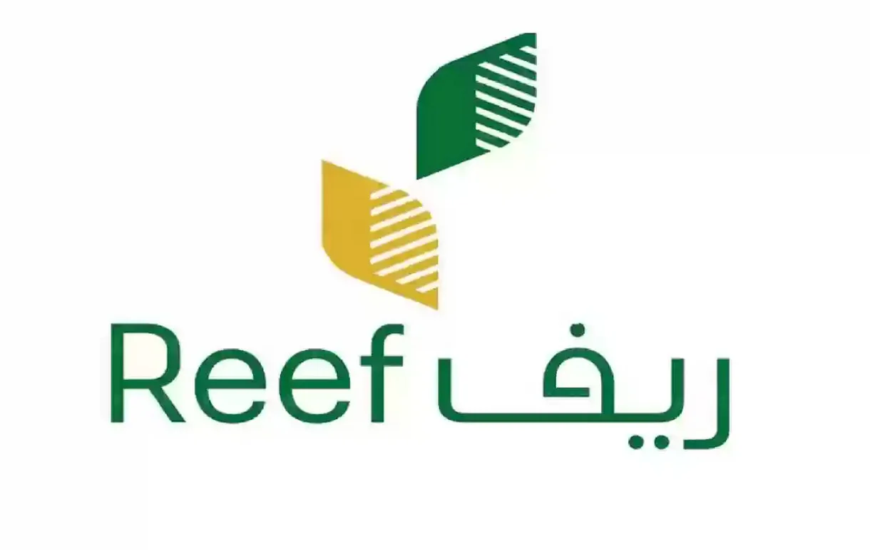 كم مدة قبول ريف؟ وكيف أعرف أنه تم قبولي في ريف 1 كم مدة قبول ريف؟ وكيف أعرف أنه تم قبولي في ريف