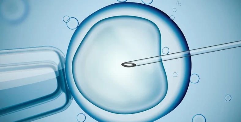 متى يمكن رؤية الأجنة داخل الرحم بعد عملية الحقن المجهري 1 متى يمكن رؤية الأجنة داخل الرحم بعد عملية الحقن المجهري