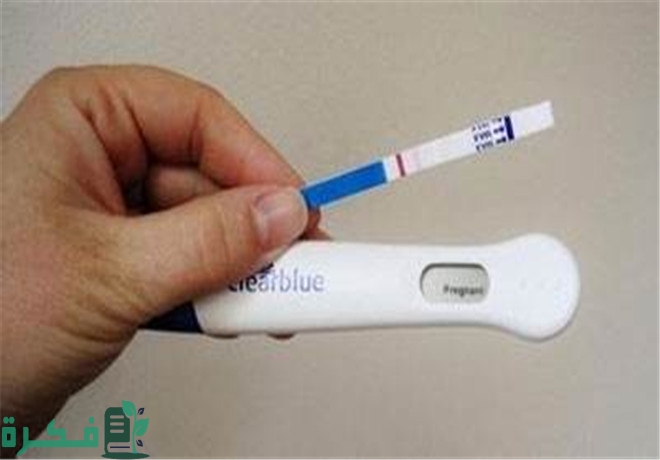 ماذا تعني نسبة تحليل الحمل الرقمي 2 1 ماذا تعني نسبة تحليل الحمل الرقمي 2؟