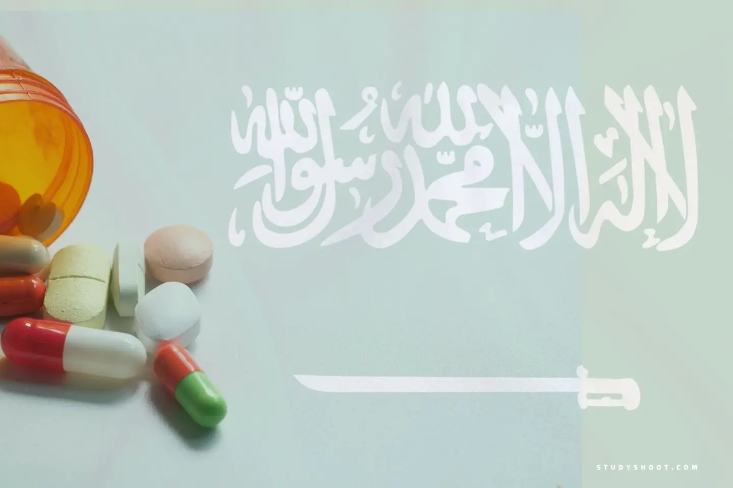ما هي أرخص جامعة لدراسة الطب في السعودية 1446 1 أرخص جامعة لدراسة الطب في السعودية
