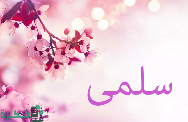 ما هو دلع اسم سلمى 1 ما دلع اسم سلمى؟