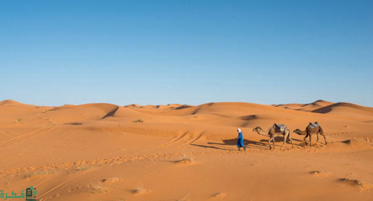 ما هو اصل عائلة النغيمشي 1 ما هو اصل عائلة النغيمشي
