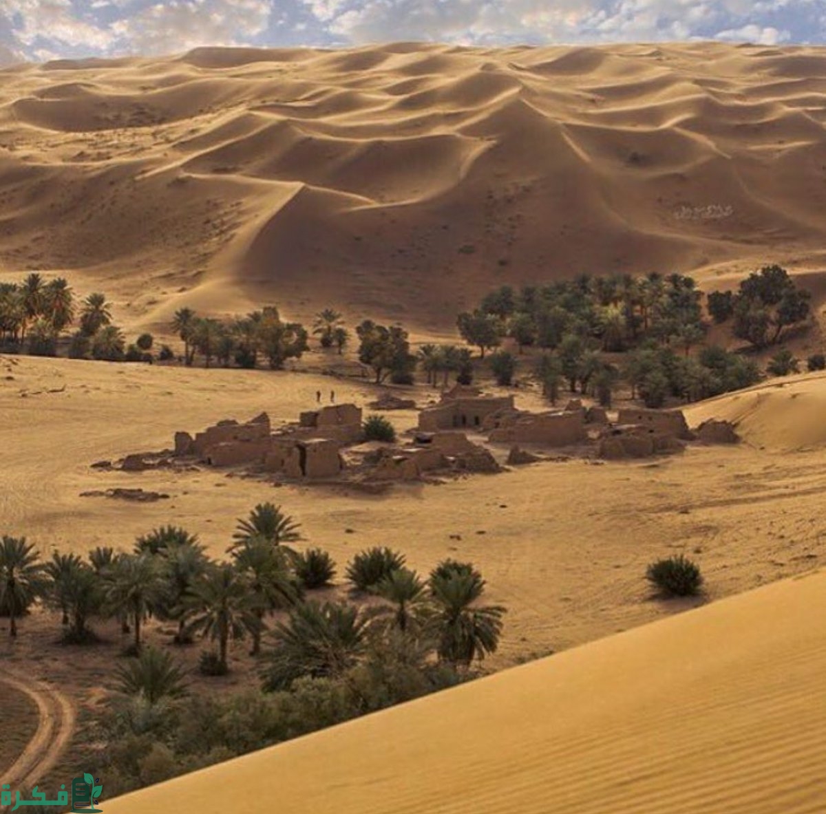 ما هو اصل عائلة النغيمشي ما هو اصل عائلة النغيمشي