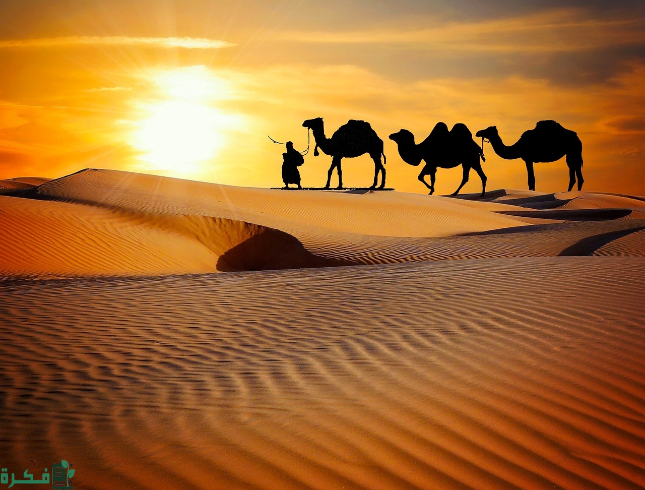 أسماء قبائل بني شعبة 1 من هم قبائل بني شعبة
