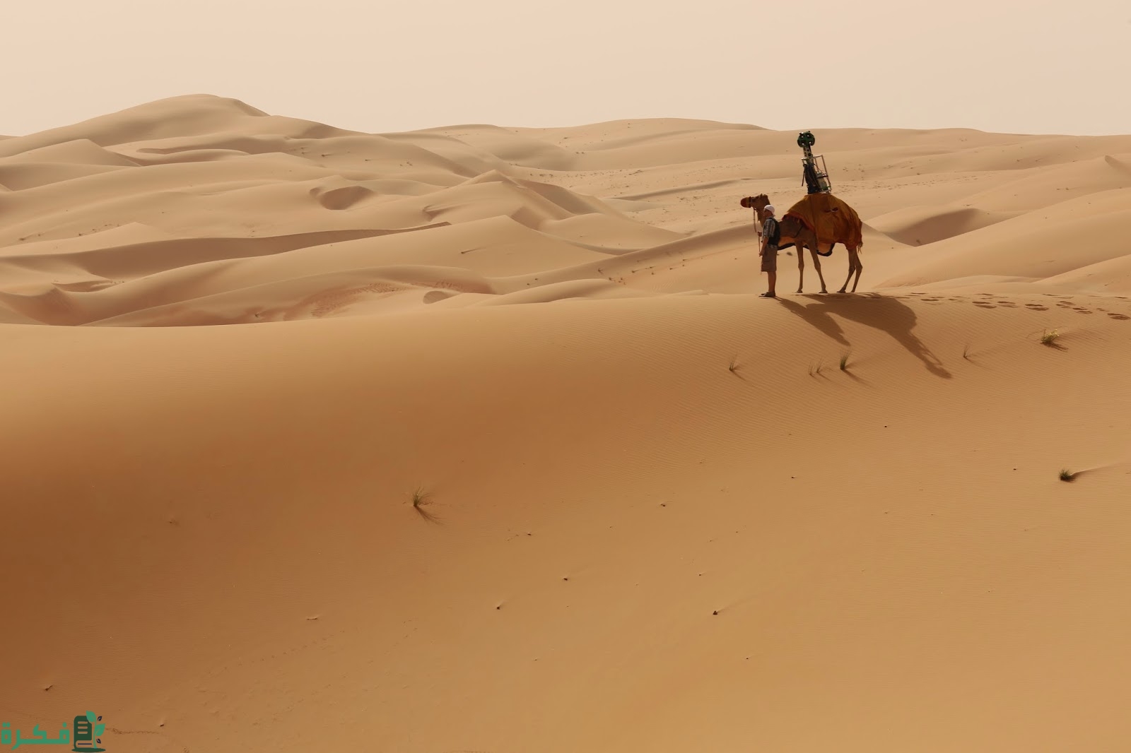 أصل عائلة الحجاج هل يعود الى قبيلة بني تميم 1 أصل عائلة الحجاج هل يعود الى قبيلة بني تميم
