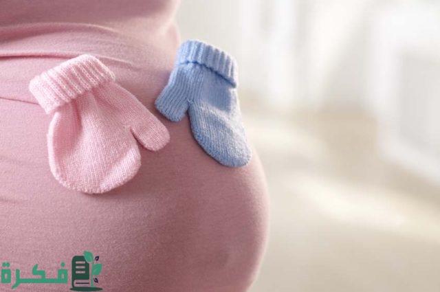 أفضل دكتور تحديد نوع الجنين بجدة مجرب أفضل دكتور تحديد نوع الجنين بجدة مجرب