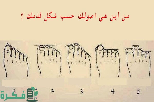 كيف أعرف أصلي من شكلي كيف أعرف أصلي من شكلي