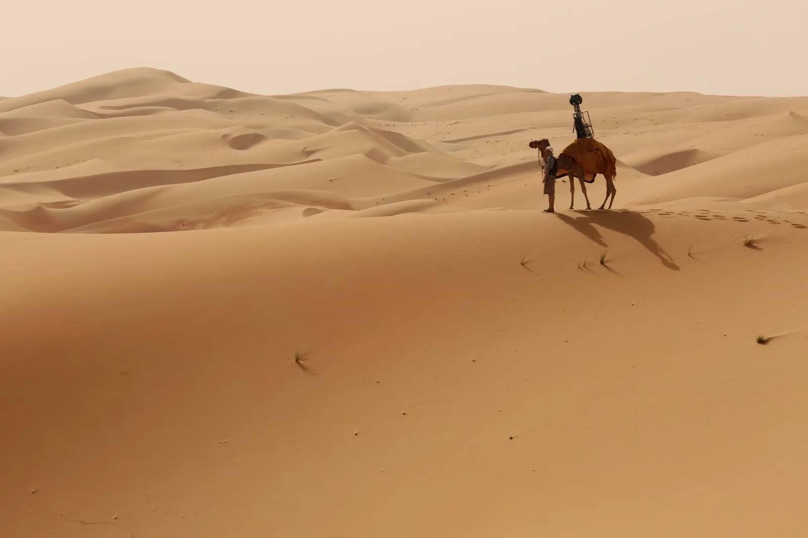 المرشدي وش يرجع المرشدي وش يرجع