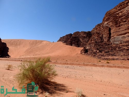 المسافة من تبوك إلى الجوف المسافة من تبوك إلى الجوف
