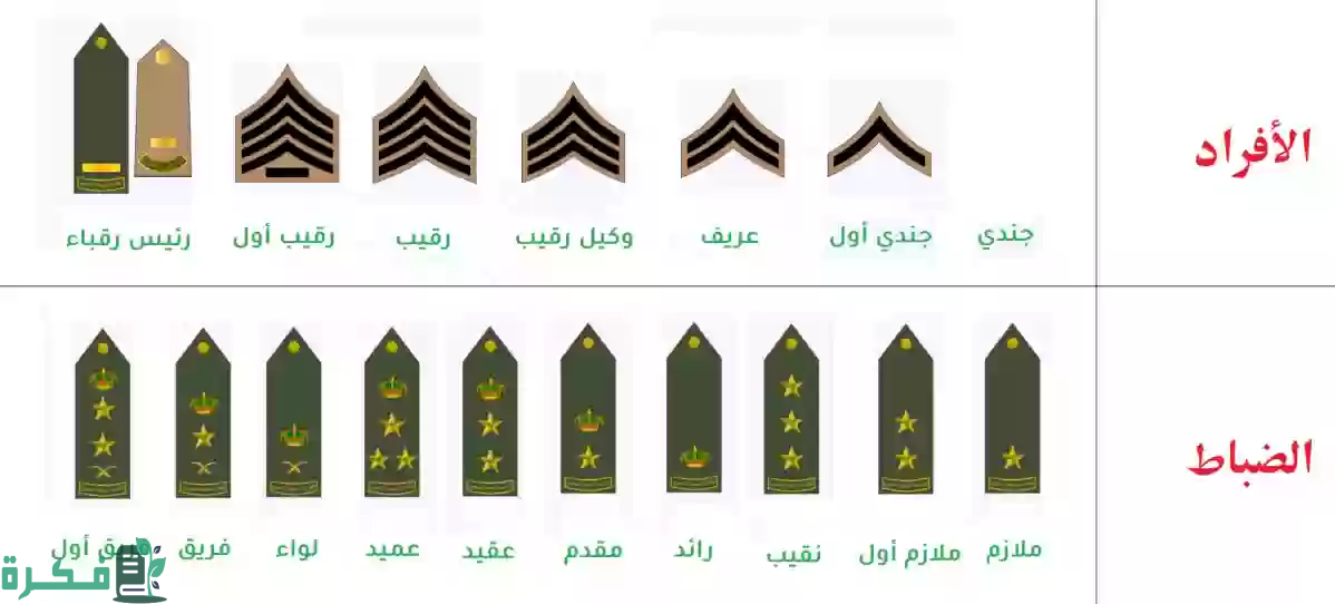 راتب الفريق الأول في السعودية بالريال 1 كم راتب الفريق الأول في السعودية