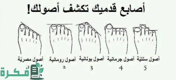 كيف تعرف من أين أصلك كيف تعرف من أين أصلك