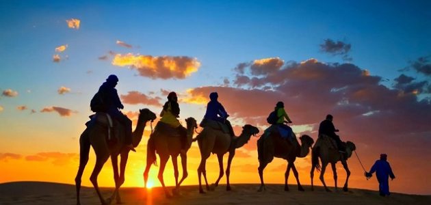 311 رمز اي قبيلة في السعودية 1 311 رمز اي قبيله