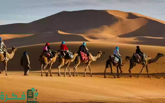 509 رمز اي قبيلة 509 رمز اي قبيلة